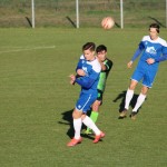 1. Al: Sovodnje - Domio