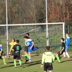 1. Al: Sovodnje - Domio