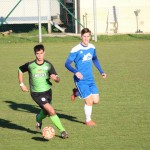 1. Al: Sovodnje - Domio