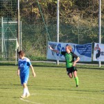 1. Al: Sovodnje - Domio