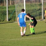 1. Al: Sovodnje - Domio