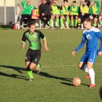 1. Al: Sovodnje - Domio