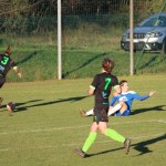 1. Al: Sovodnje - Domio