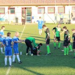 1. Al: Sovodnje - Domio