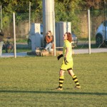 1. Al: Sovodnje - Domio