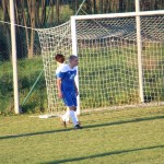 1. Al: Sovodnje - Domio