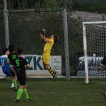 1. Al: Sovodnje - Domio