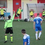 1. Al: Sovodnje - Domio