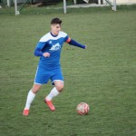 1. Al: Sovodnje - Domio