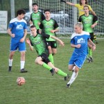 1. Al: Sovodnje - Domio