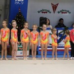 Božičnica gimnastike Bor