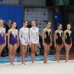 Božičnica gimnastike Bor