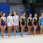 Božičnica gimnastike Bor