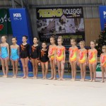 Božičnica gimnastike Bor