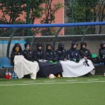 Nogomet A liga : Vesna - Audax
