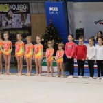 Božičnica gimnastike Bor