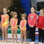 Božičnica gimnastike Bor