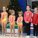 Božičnica gimnastike Bor