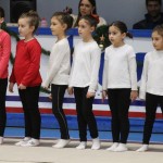 Božičnica gimnastike Bor