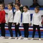 Božičnica gimnastike Bor