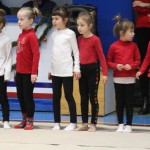 Božičnica gimnastike Bor