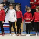 Božičnica gimnastike Bor