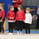 Božičnica gimnastike Bor