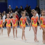 Božičnica gimnastike Bor