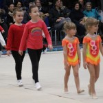Božičnica gimnastike Bor