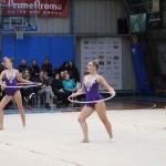 Božičnica gimnastike Bor