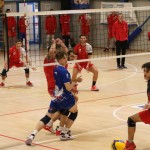Odbojka C liga : Sloga Tabor - Triestina