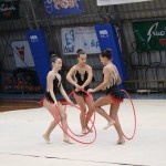 Božičnica gimnastike Bor