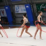 Božičnica gimnastike Bor