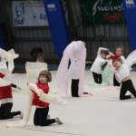 Božičnica gimnastike Bor