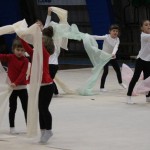 Božičnica gimnastike Bor