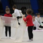 Božičnica gimnastike Bor