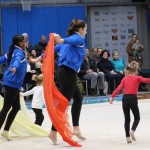 Božičnica gimnastike Bor