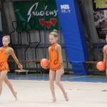 Božičnica gimnastike Bor