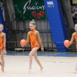 Božičnica gimnastike Bor