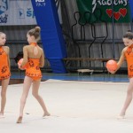Božičnica gimnastike Bor
