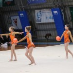 Božičnica gimnastike Bor