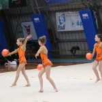 Božičnica gimnastike Bor