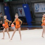 Božičnica gimnastike Bor