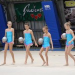Božičnica gimnastike Bor