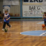 Božičnica KKBOR : Koši pod jelko