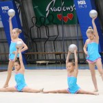 Božičnica gimnastike Bor