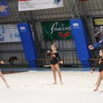 Božičnica gimnastike Bor