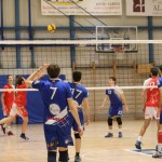 Odbojka C liga : Sloga Tabor - Triestina