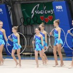 Božičnica gimnastike Bor