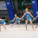 Božičnica gimnastike Bor